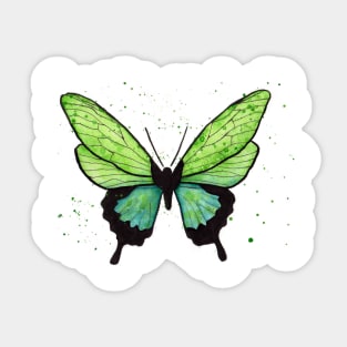 Butterfly Sticker